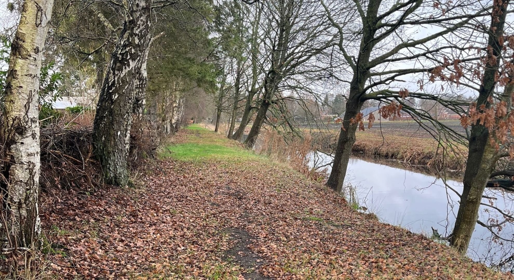 Hondenuitlaatroute buitenrijk