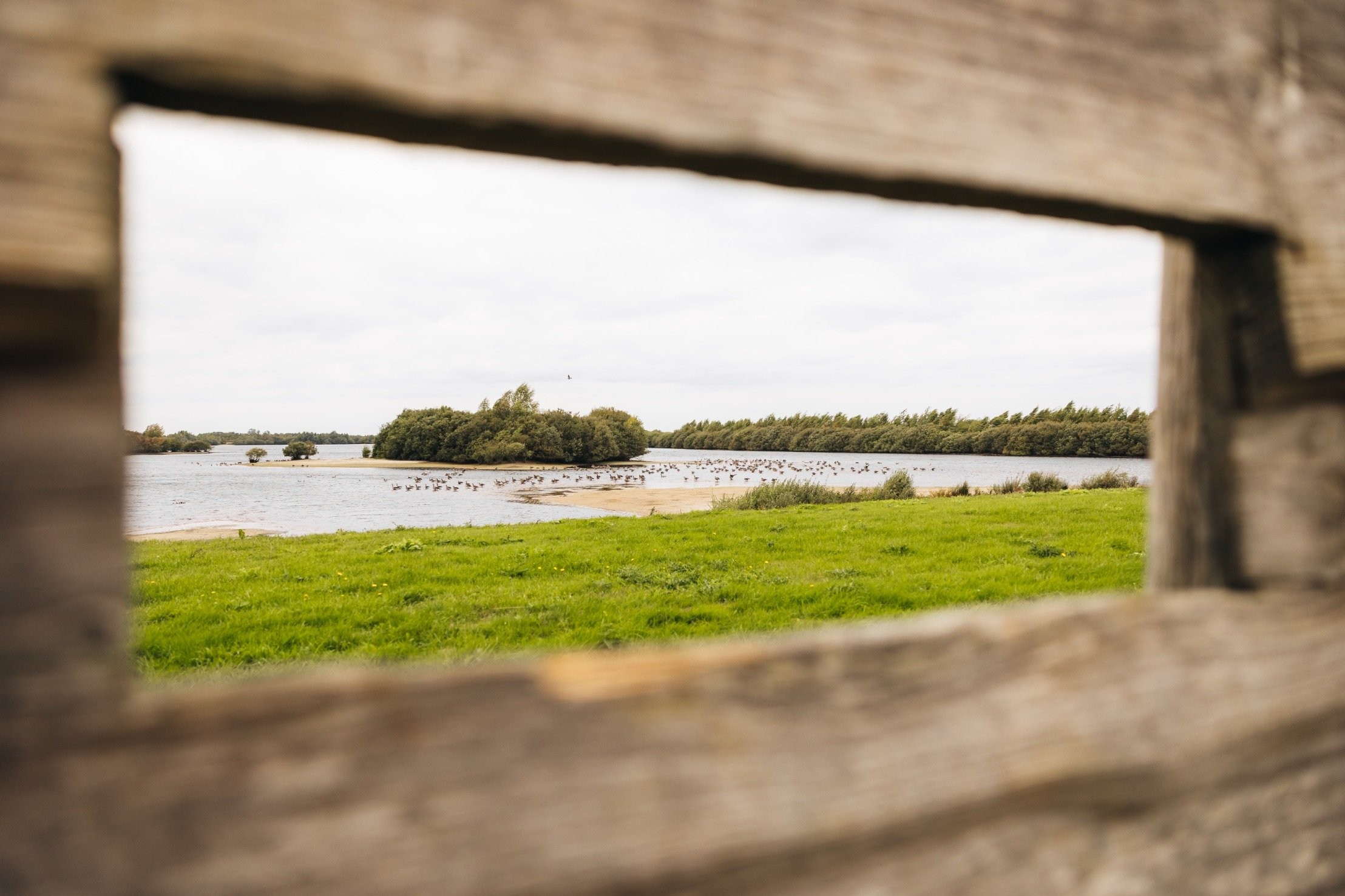Natuurgebied bargerveen