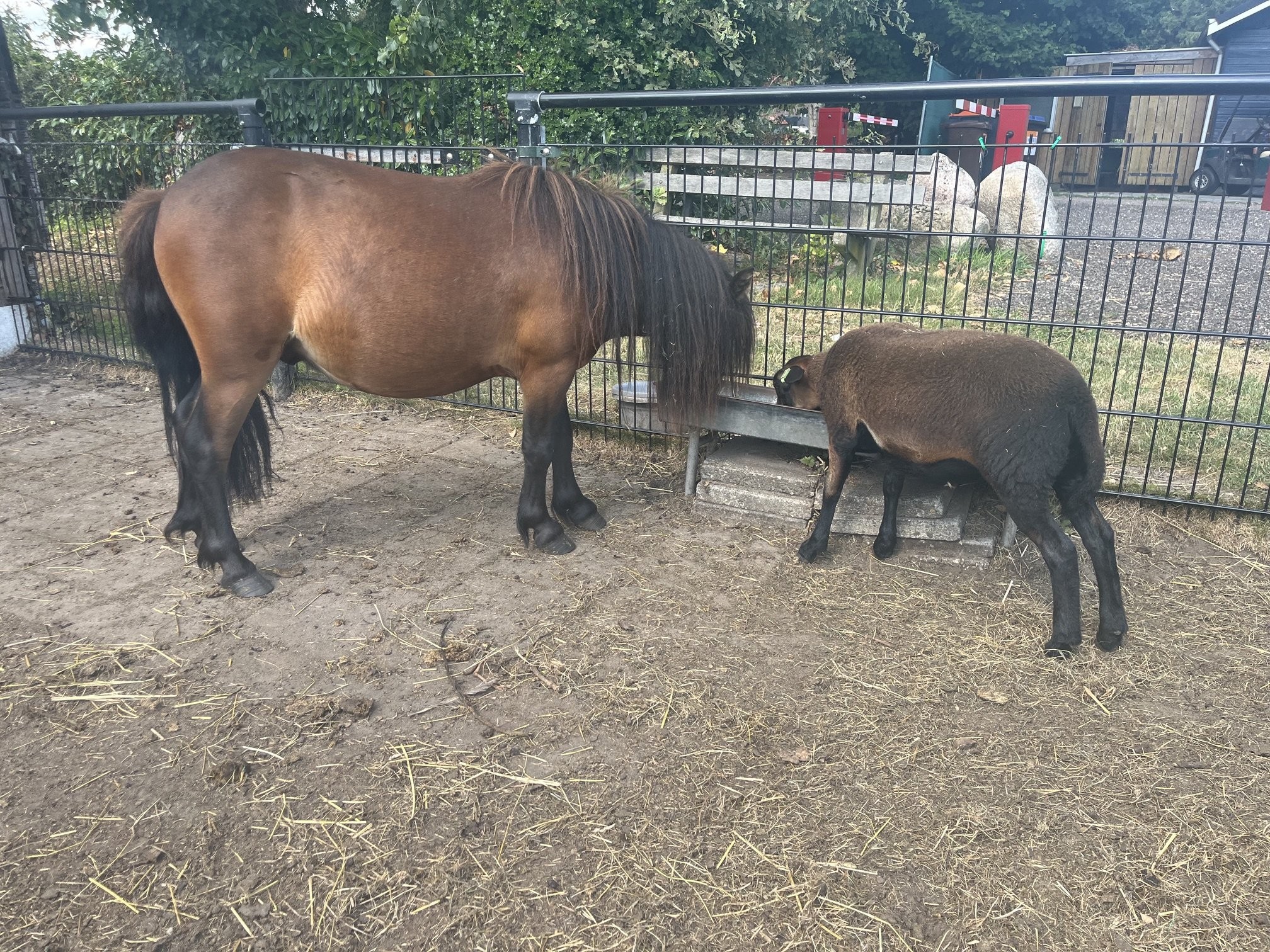 Tierweide