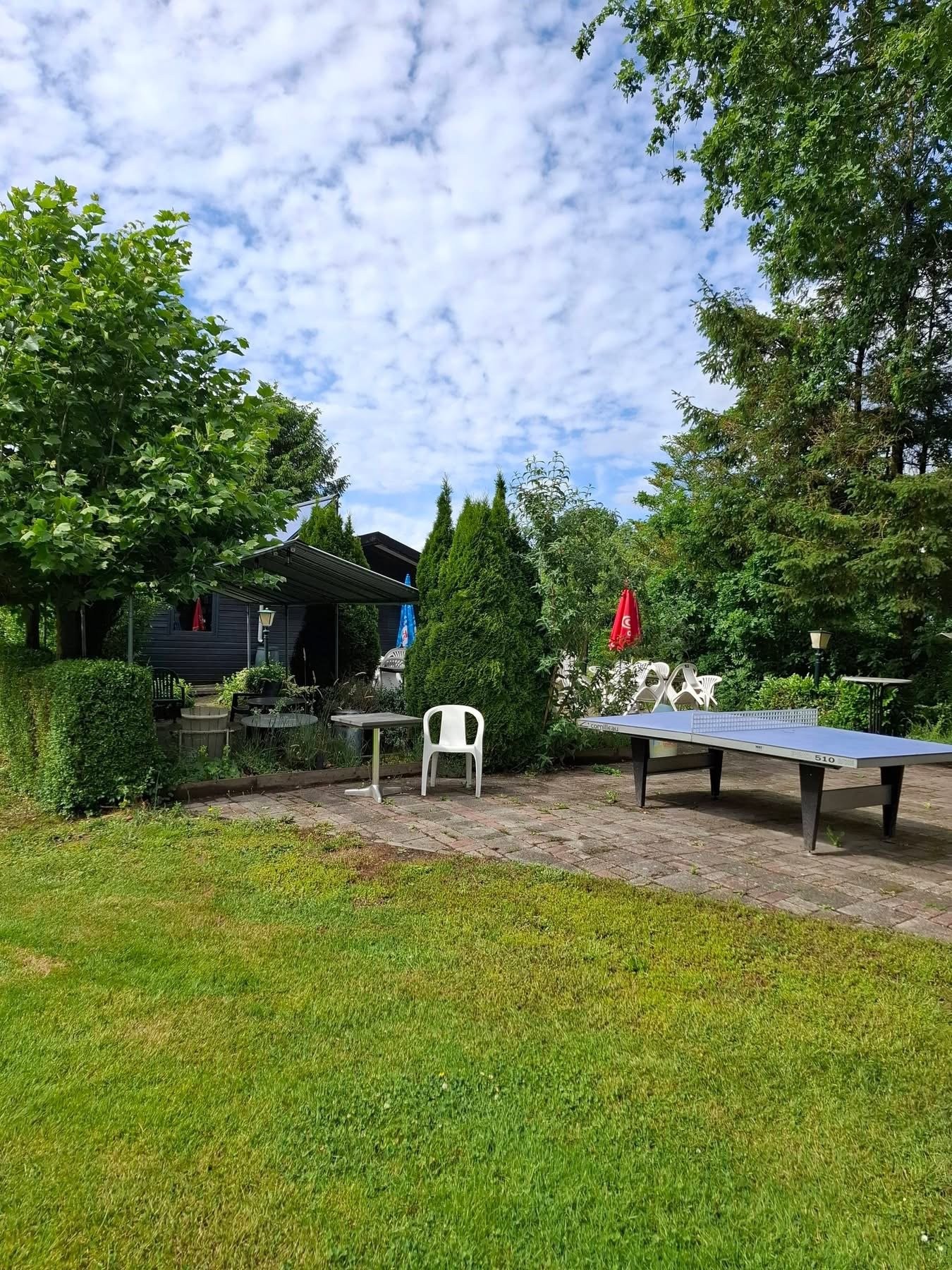 Terras 2