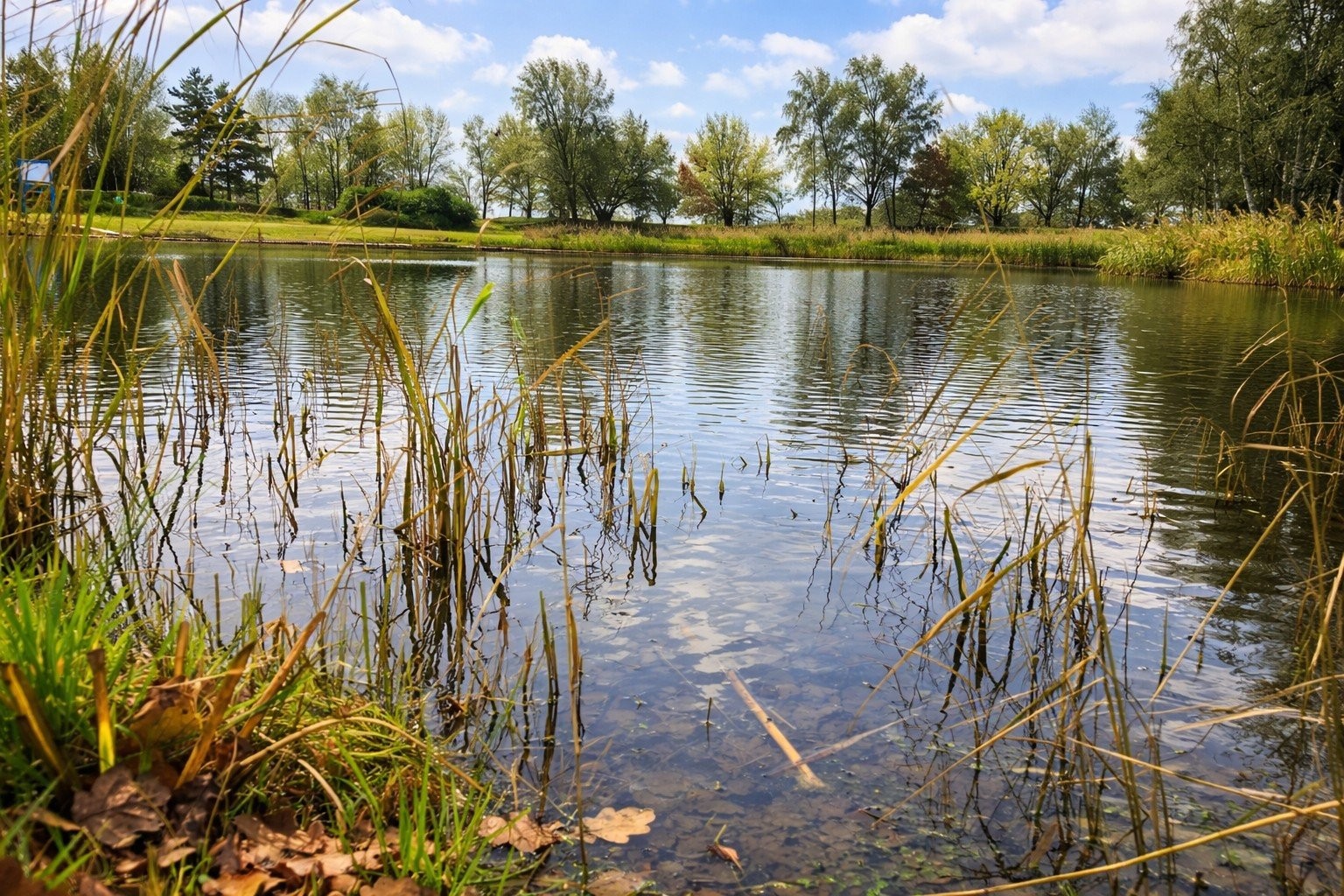 Zwemplas